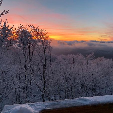 Above The Clouds Villa West Jefferson Exteriör bild